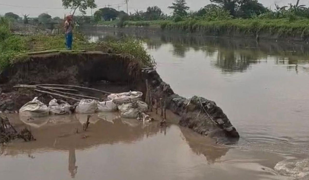 Darurat! Tanggul Jebol Belum Tuntas, 3 Desa di Mojokerto Siaga Hadapi Banjir Susulan!