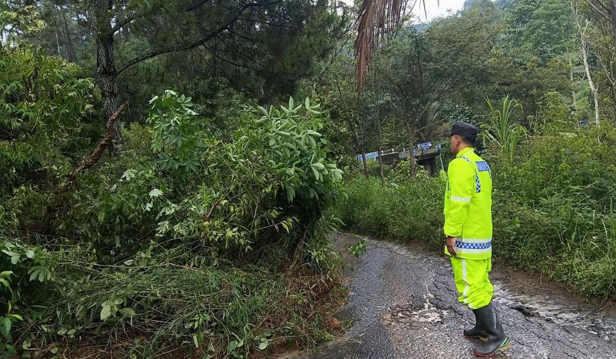 Waspada! Longsor Hantam Jalur Pudak–Pulung di Ponorogo, Pengendara Diminta Ekstra Hati-hati